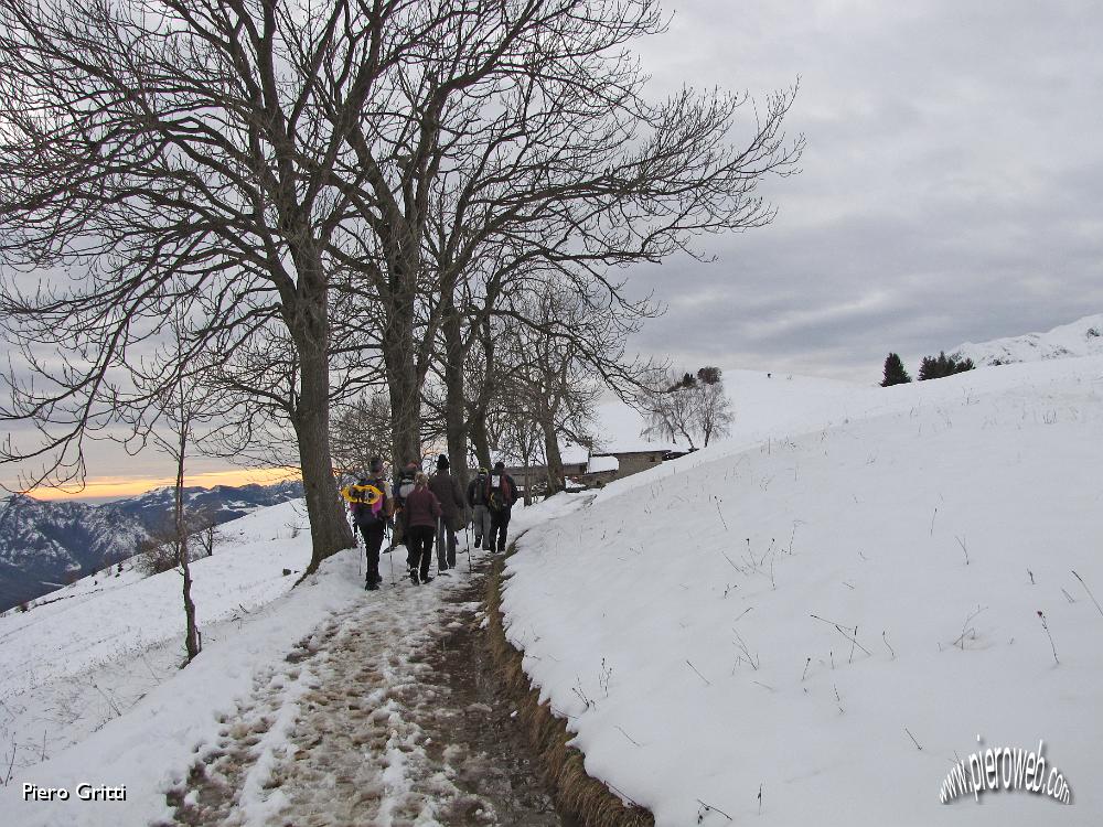 49 Alle cascine di Cima Blum.jpg